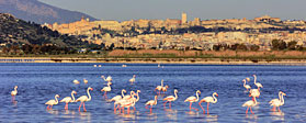 Stagno di Cagliari